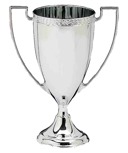 silver D-015-2 cast cup